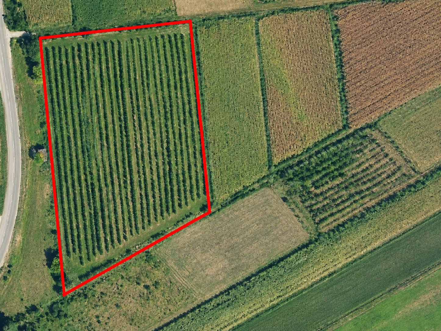 POLJOP. ZEMLJIŠTE 8.941 m² – SELNICA ŠĆITARJEVSKA, BLIZINA VELIKE GORICE