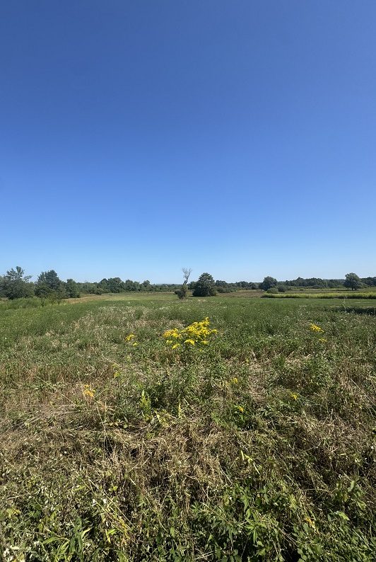 POLJOP. ZEMLJIŠTE -  LIJEVO SREDIČKO, 4848 m2